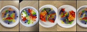 Stem Skittles Experiment